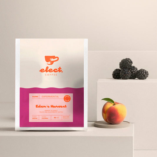 Exotic + Experimental - 2 Bag Subscription