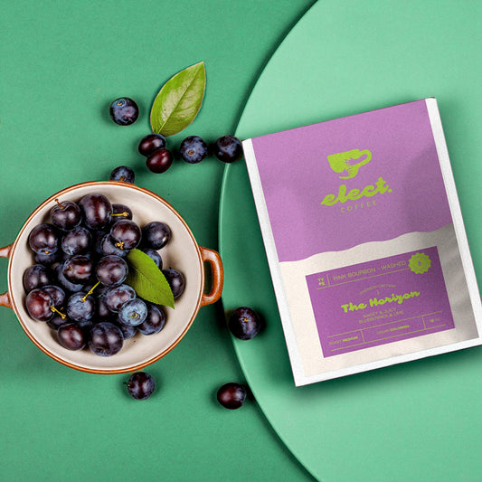 Single Origin Premium Subscription
