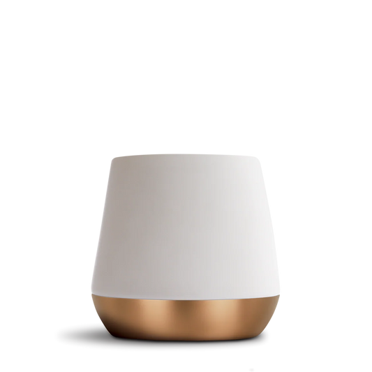 Joey Double Wall Ceramic Mug